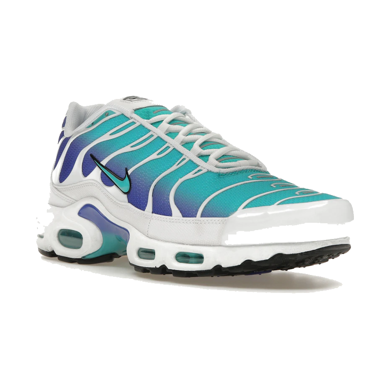 Nike Air Max Plus Aqua