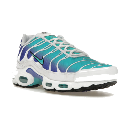 Nike Air Max Plus Aqua