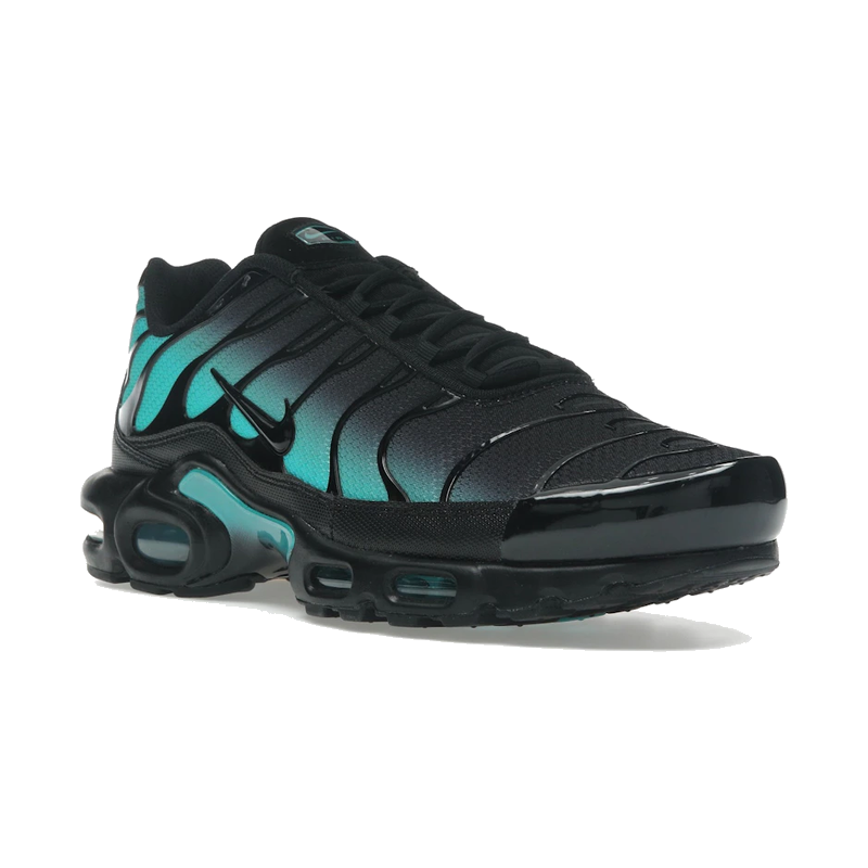 Nike Air Max Plus Black Dusty Cactus