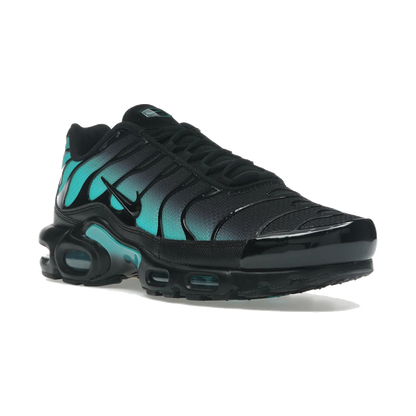 Nike Air Max Plus Black Dusty Cactus
