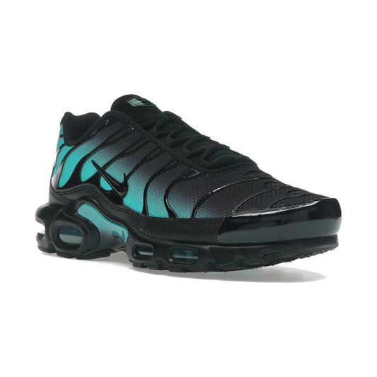 Nike Air Max Plus Black Dusty Cactus