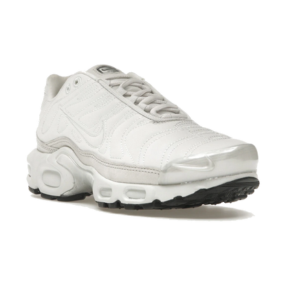 Nike Air Max Plus Platinum Tint