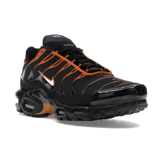 Nike Air Max Plus Dark Obsidian Monarch
