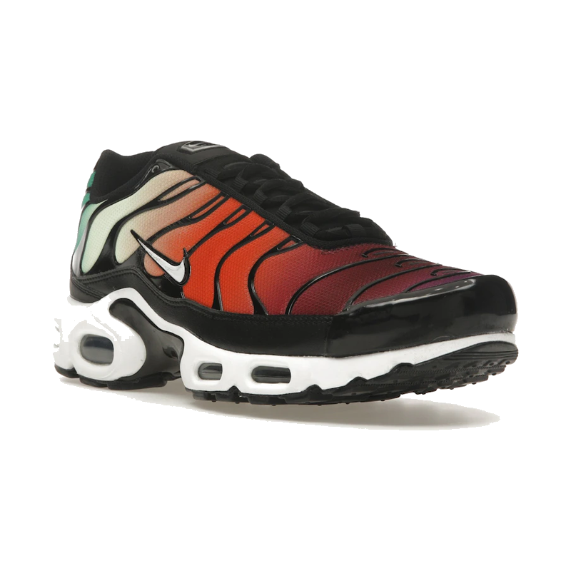 Nike Air Max Plus Rainbow