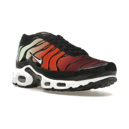 Nike Air Max Plus Rainbow
