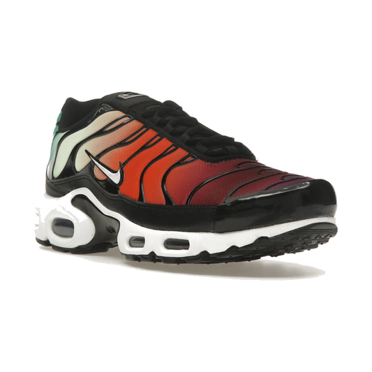 Nike Air Max Plus Rainbow