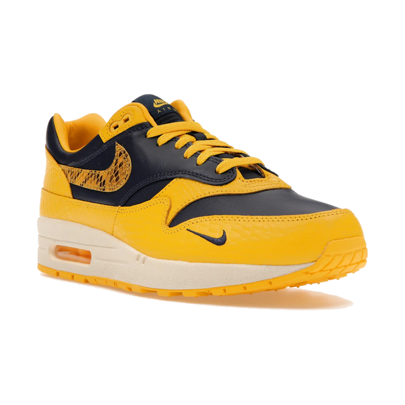 Nike Air Max 1 CO.JP Michigan Head to Head