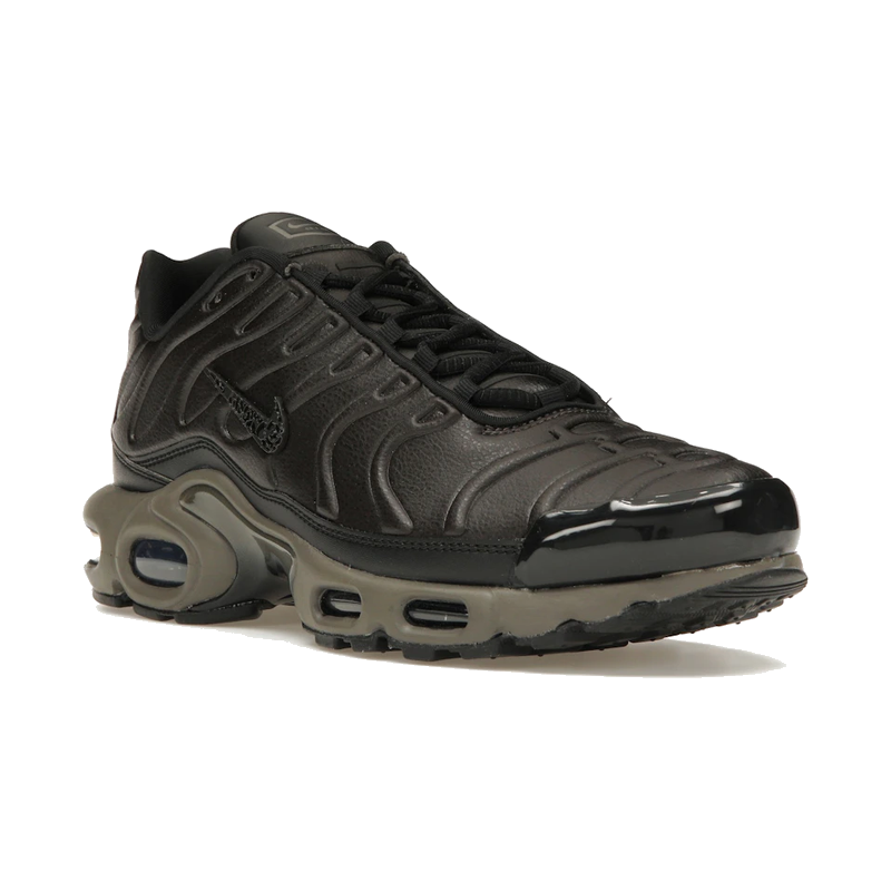 Nike Air Max Plus Premium Paris
