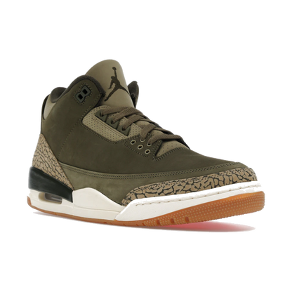 Air Jordan 3 Retro Family Affair