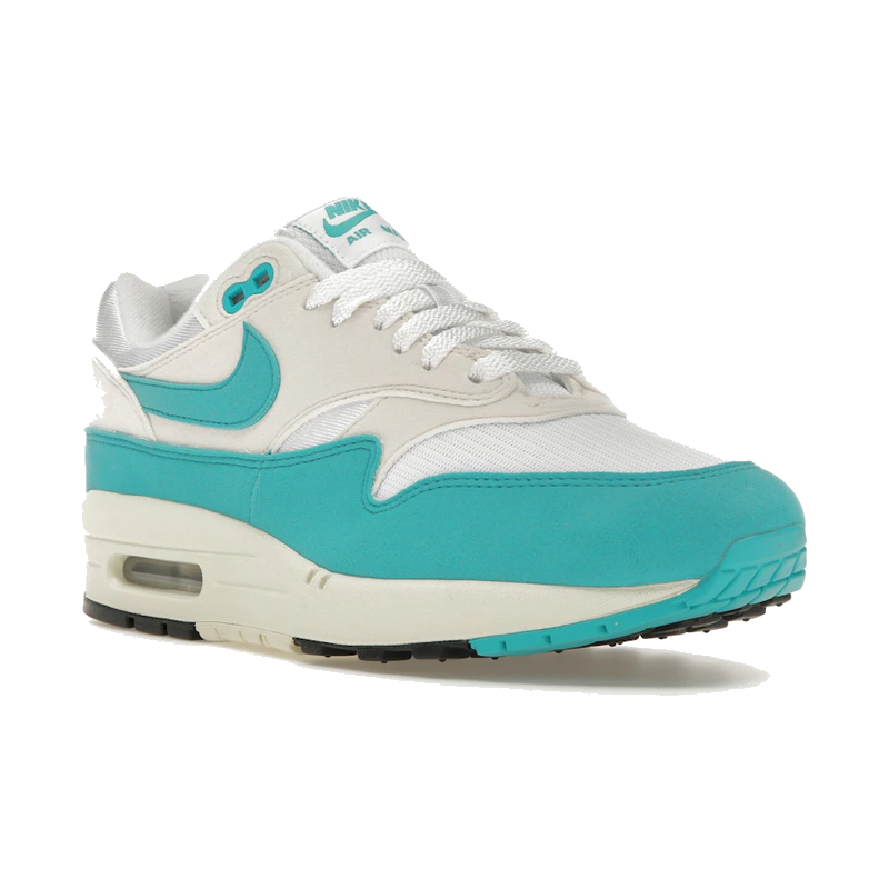 Nike Air Max 1 Dusty Cactus