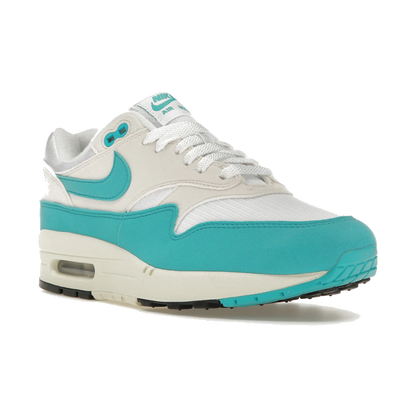 Nike Air Max 1 Dusty Cactus