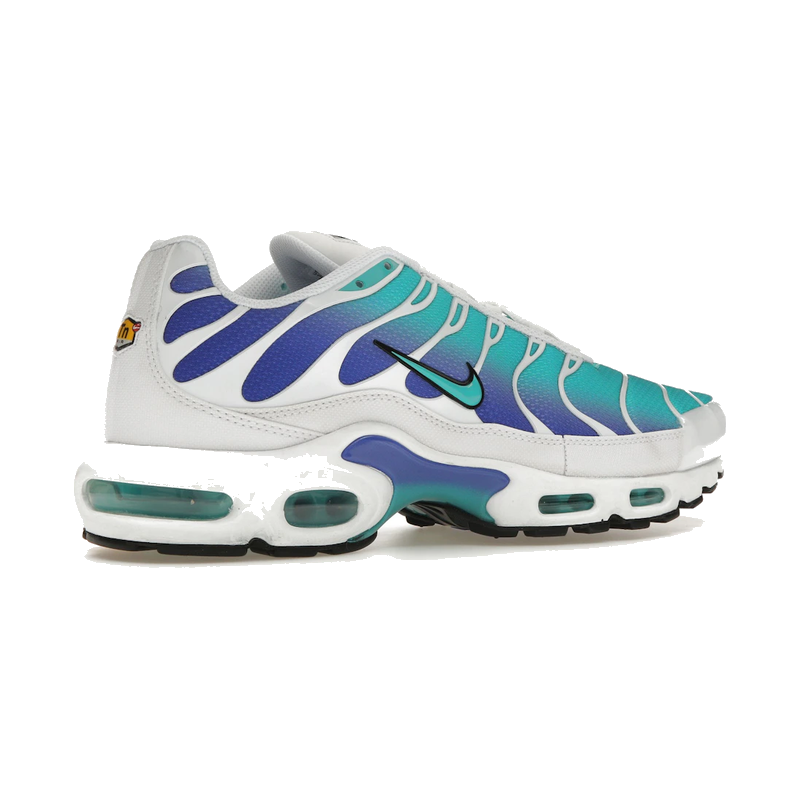 Nike Air Max Plus Aqua