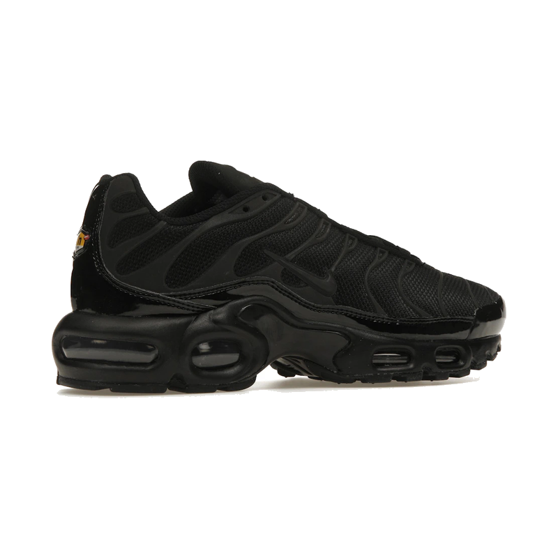 Nike Air Max Plus Black Reflective