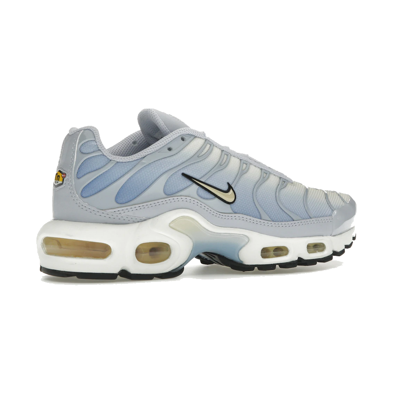 Nike Air Max Plus Daybreak