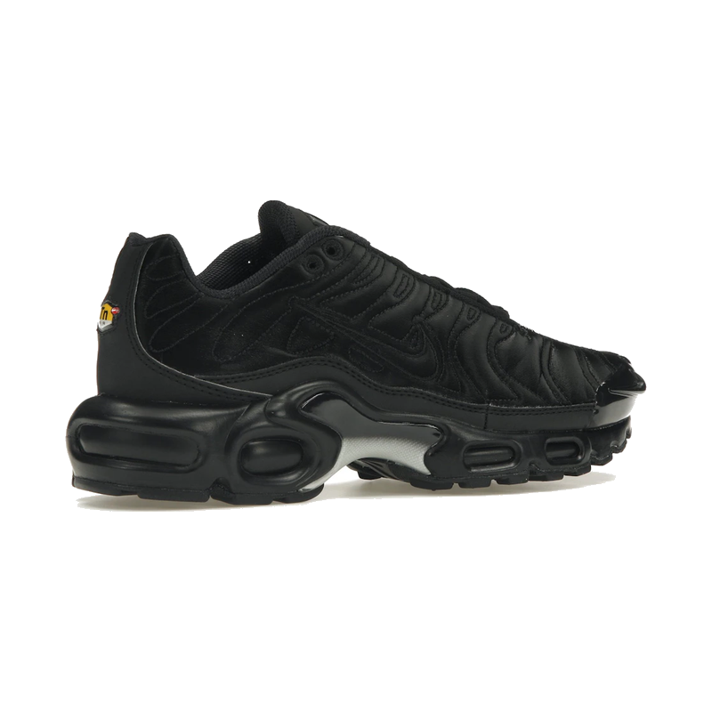 Nike Air Max Plus Black Anthracite Sail