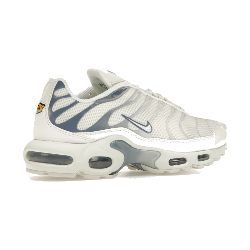 Nike Air Max Plus Ashen Slate