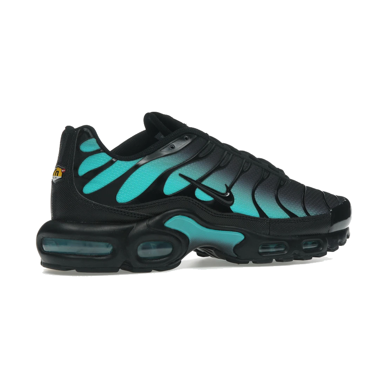 Nike Air Max Plus Black Dusty Cactus
