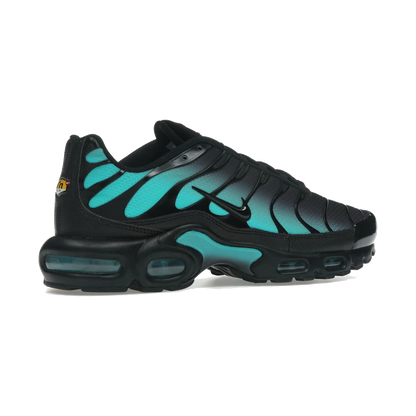 Nike Air Max Plus Black Dusty Cactus