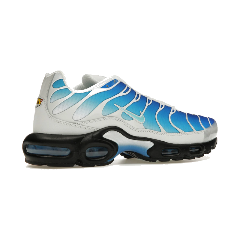 Nike Air Max Plus One Block Down Light Photo Blue