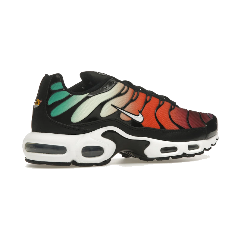 Nike Air Max Plus Rainbow