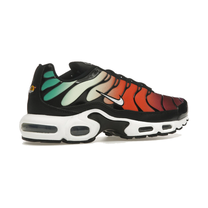 Nike Air Max Plus Rainbow